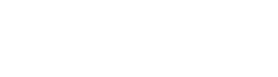 Bannister, Wyatt & Stalvey, LLC Logo white
