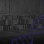 Convicted by Memory, Cleared by DNA: What the Brain Can Get Wrong About Eyewitness Identification